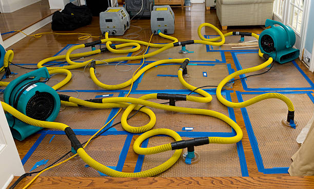 Professional Structural Drying And Dehumidification technician working in Keller, WA